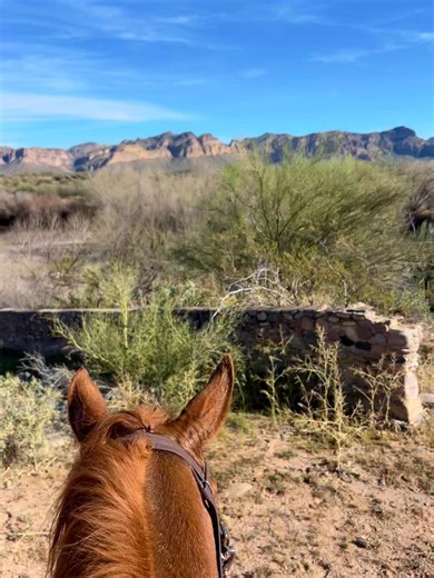 The sheep pen. They used to load the sheep, here. Chuck took the opportunity to pee 🤣 | Elaine Sherer