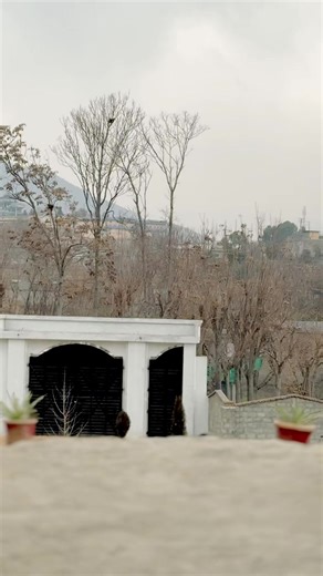 Unique Leadership Vibes You Can't Imitate