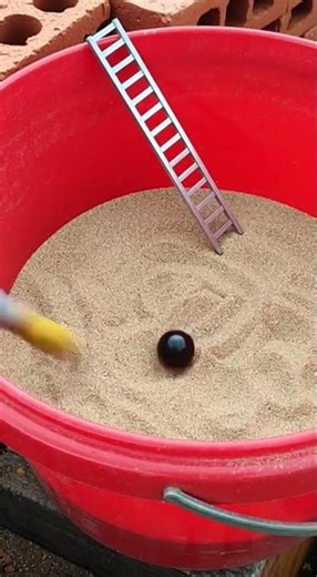 LOL Mice thought rice feast ended in fail Surprise twist caught on cam #funny #mice #fail