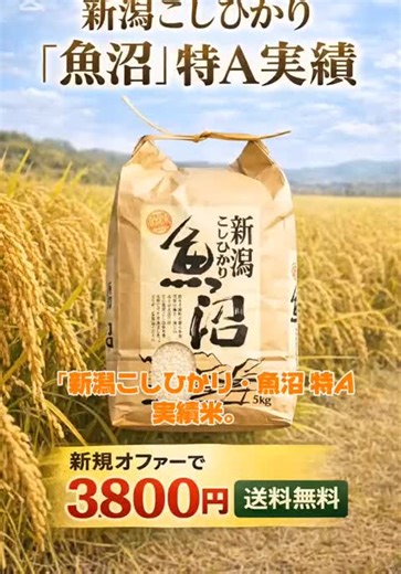 新潟の特A米 魚沼産コシヒカリの魅力