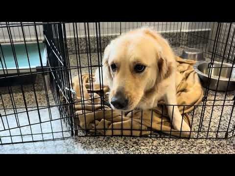 formerly Alice Rehabilitation Case with Fulfilling Hearts