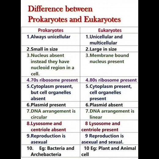 difference between prokaryotic and eukaryotic cell #biology