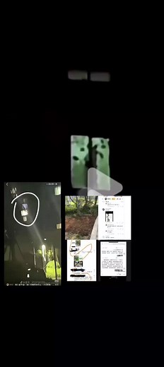 Actualización sobre el video filtrado de YML