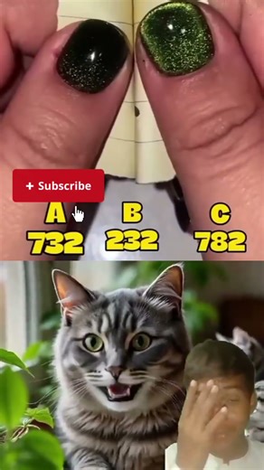 impossible to guess this number #filter #funny #catdance #viral #cat #catvideos #duet #sher