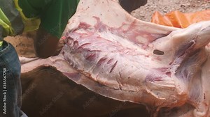 Close up of the skinnig process of a halal slaughtered cow in preparation for Eid al-adha