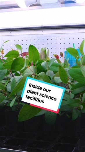 Tour of Australian Plant Phenomics Network Labs