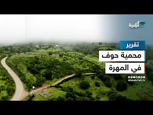محمية حوف في المهرة - جمال رباني يجمع بين الجبل والبحر والخضرة والضباب