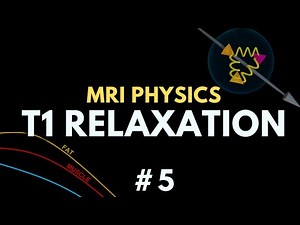 T1 Relaxation, Spin-lattice Relaxation, Longitudinal Recovery | MRI Physics Course #5