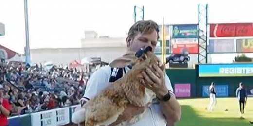 Hop to it: Rabbit throws out first pitch at Minors game!