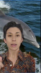 How do marine mammals sleep underwater? | LiveScience