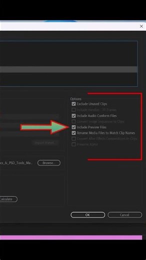 Quick solution to fix an unknow error occurred during the project manager operation in Premier Pro