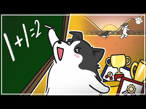 Border Collie: The Smartest & Most Energetic Dog in the World? 🐶 | Personality, Training & Facts