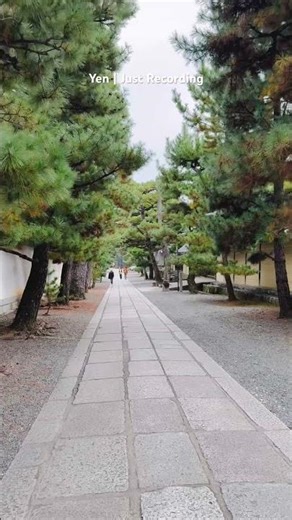 Myoshinji Temple | Quiet paths & pine trees 妙心寺｜静かな参道と松の景色 妙心寺｜松树与宁静的参道 #京都自由行究極攻略