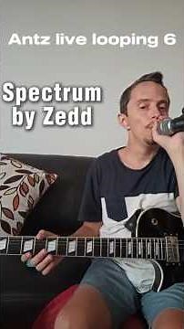 Antz live looping 6