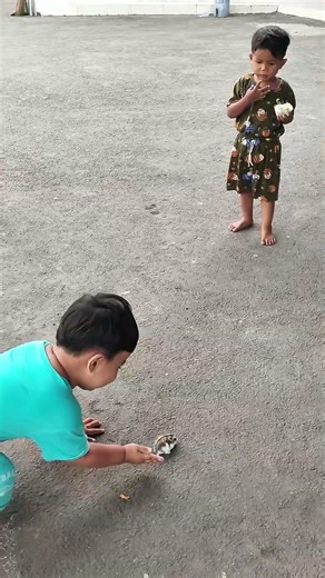 El, Faqih dan Faro balapan lari dengan Hamster. 🤣