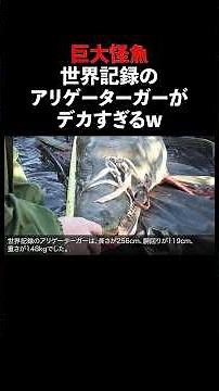 The world record alligator gar is too big lol #monsterfish #fish #ecology