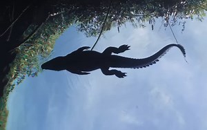 The terrifying sequence of disasters that sealed the dinosaurs’ fate