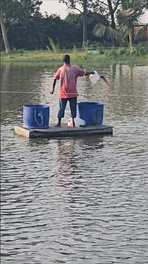 🚤 How to Feed Fish from the Middle of the Pond | Smart Aquaculture Feeding Technique #shortvideo