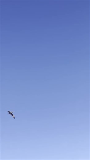 Amazing Bird Flight: Defying Air and Humidity