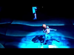 Animal Kingdom's Finding Nemo: The Musical