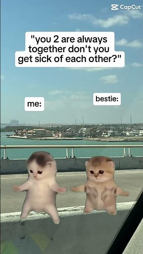 I got that feeling #memes #cat