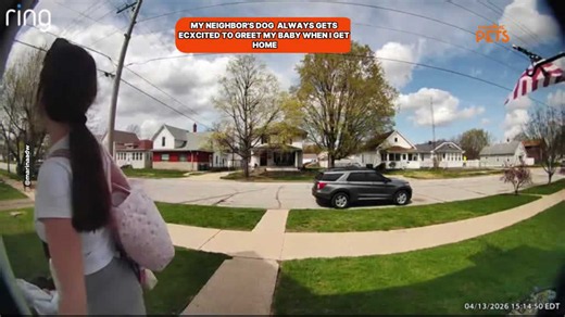 Ring doorbell reveals adorable bond between baby and neighborhood dog