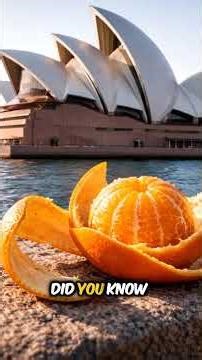 From Orange Peels to Skyscrapers: The Secret Inspiration of Architecture 🏗️🍊