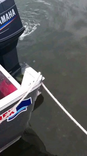 Yamaha 50hp 2 stroke first time in water #outboard #outboardmotor #outboardengine #yamahaoutboard #boatengine #fishinglife #boatinglife #boatsandhoes #ontheboat #fishingtrip #boatday #lakefishing #offshorefishing #fisherman #fishingtime #fishinggear #fishingboats #boatlife #boattrip #boatingfun #boatingweekend #weekendgetaway #getaway #adventuretime #exploremore #traveltheworld #wanderlust #naturelovers #discovernewplaces | outboard motor engines for sale