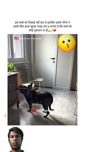 please help the animals #video #shortvideo #viral #animals #sad #reels #viralvideo #shorts