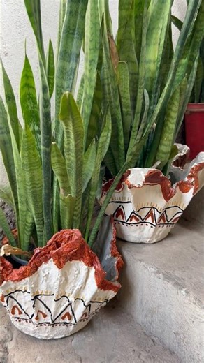 Final look🤩DIY cement planter at home #divinegarden98 #diyplanters #cementplanter