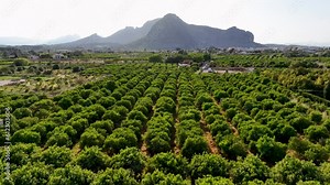 Mountains with cultivated vineyards farmland in Spain