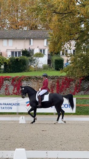 une reprise de dressage tout en légèreté 🩰 #equestrian #equine #dressage #fail | Mathilde & Sligo
