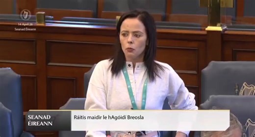 Remember these members of the Oireachtas who labelled and denigrated the Irish people and expressed their disgust at the flying of our national Tricolour by our country's own people. Remember how unfit and unwilling they were to serve us. Consider how they managed to get into their positions. Make sure they are never there again. 🇮🇪