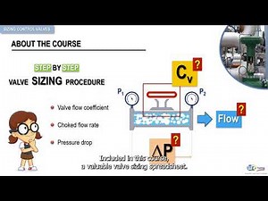 How to sizing valves and control valves ? Course introduction by WR Training