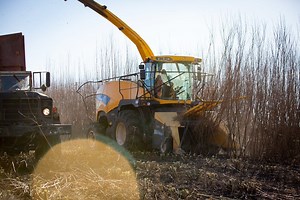 Forest Products | Penn State Extension