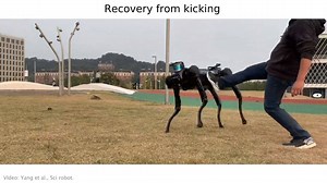 Don't look now, but robots have learned how to fend off humans—all on their own. In a dramatic departure from how robots have previously been taught, researchers didn’t code this robodog to recover from an assault. It trained itself. Here's how: https://wired.trib.al/hmaXYmK 📽️: Yang et al., Sci robot. | WIRED