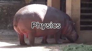 Physics.