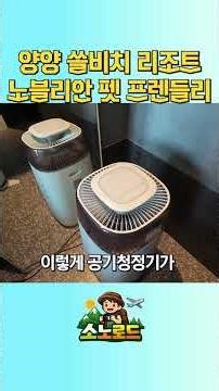 분위기 뭐야? 쏠비치 양양 펫객실 찐후기 강아지호강 ㅣ 팔리시오동 노블리안 실버 펫 #대명리조트회원권 #소노호텔앤리조트 #노블리안블랙