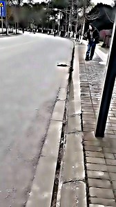 804K views · 10K reactions | Late for Work Blame the Sleeping Cat  . . . . . #funny #studio #fandub #film #producer #audio #madlipz #voiceactors #n #tv #narrator #locucion #voices #anime #voiceoverwork #actress #memes #video #elearning #locutora #tiktok #doblaje #instagram #o #instagood #commercial #model #viral #singersongwriter | Dream World | Facebook