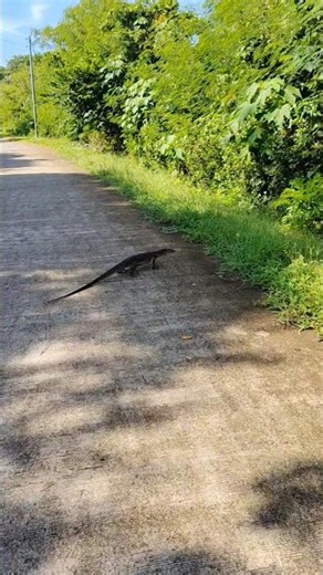 Ganito makakasalubong mo sa probinsya