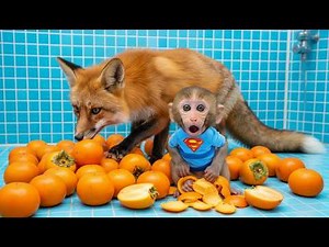 🍑🐵 Monkey Doki's Persimmon Planting! Ripe Orange Magic Grows! 😍