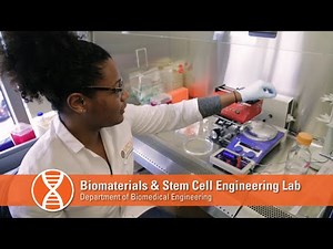 Biomaterials & Stem Cell Engineering Lab