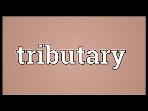 Tributary Meaning
