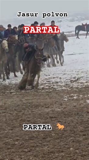 Jasur polvon Ozod boyni PARTAL laqabli tulporda #angus #rek #shorts