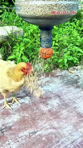 DIY chicken feeder: Keeps feed clean and saves waste #mixcraft