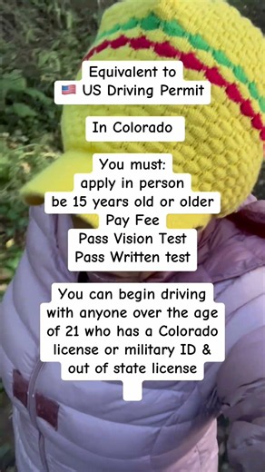 UK Provisional licence vs US permit #fullcircle