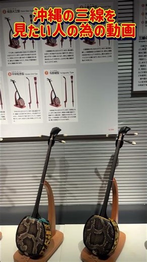 [Local Instrument] A video for those who want to see the Okinawan instrument "Sanshin" [with comm...
