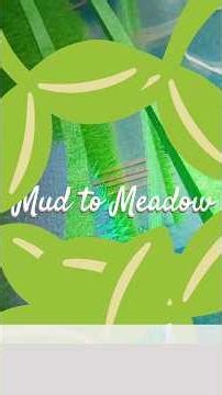 🌱 Mud to Meadow 1 🌱 | Create a Cart Ride #roblox #mud #to #meadow #one
