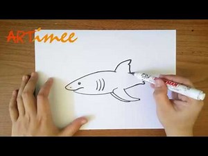 How to Draw a Great White Shark