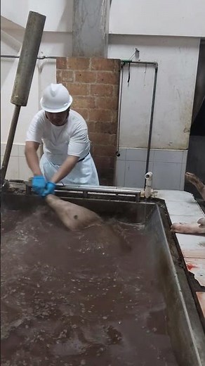 Scalding Process in Slaughtering